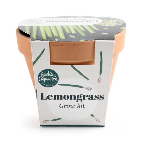 Radis et Capucine - Kit Citronnelle - Pot en Terre Cuite - 13 cm - PACKAGING_3D_VERSO